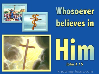 John 3:15